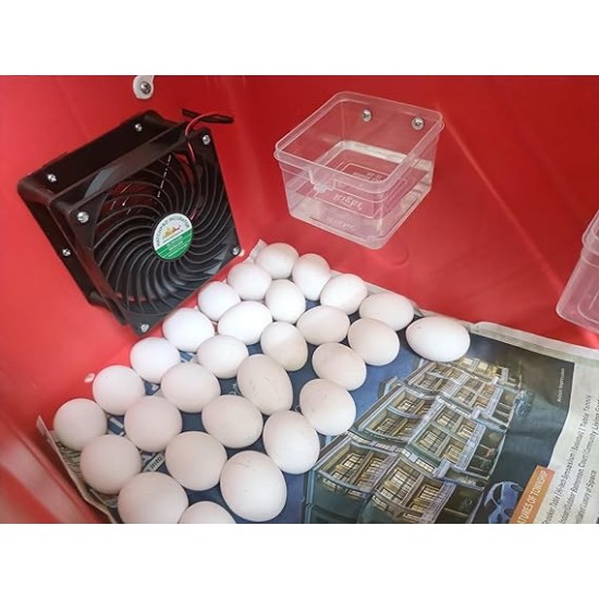 Hatchpro 110 egg incubator semi automatic + Extra Controller with Humidity display , ABS Fibre body
