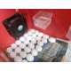 Hatchpro 80 egg incubator semi automatic + extra controller & Humidity display , ABS Fibre body