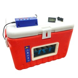 Hatchpro 36 egg incubator automatic with viewing window | Small mini egg hatching machine 