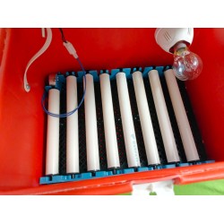 Hatchpro 30/36 egg incubator automatic with Humidity display , Automatic Egg Turning Tray in ABS Fibre body