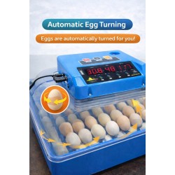Hatchpro 40 egg incubator fully automatic | with THT20 controller and inbuilt egg candling