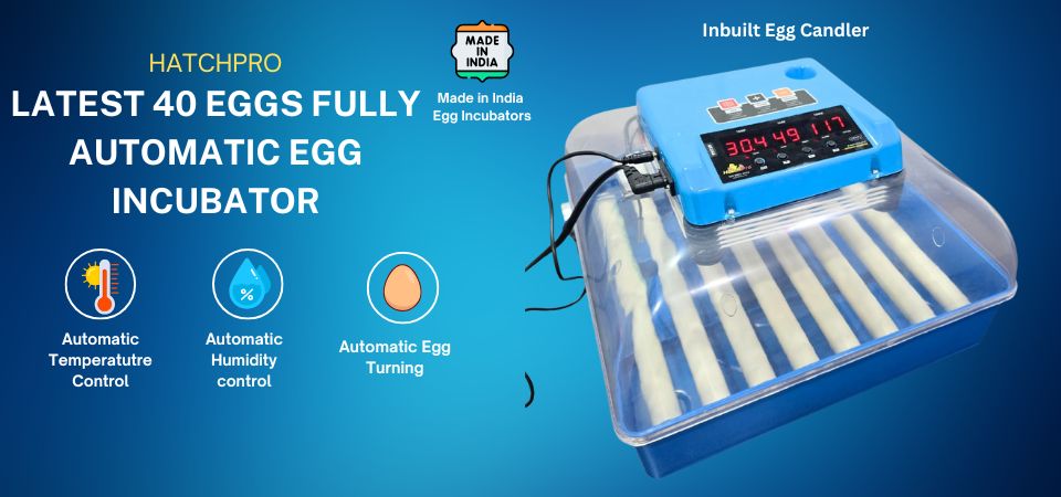 Hatchpro 40 egg incubator fully automatic