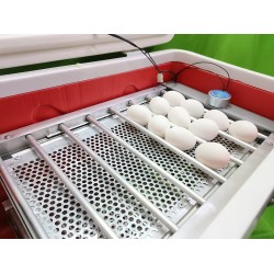 Hatchpro 42 eggs incuabtor for egg hatching + Extra Controller | with aluminum turning tray | Fully automatic egg incubator and ABS Fibre Body (42 Eggs Capacity)