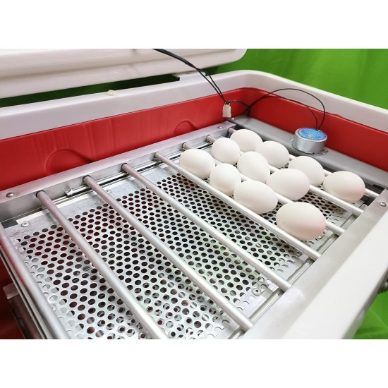 Hatchpro 42 eggs incubator for egg hatching machine | with aluminum turning tray | Fully automatic egg incubator and ABS Fibre Body (42 Eggs Capacity)