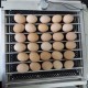 Hatchpro 1000 eggs incubator fully automatic with rolling type aluminum trays ; egg hatching machine
