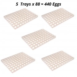 HatchPro 88 x 5  chicken egg tray for  egg incubator machine or Home made incubator ( A set of 5 trays)