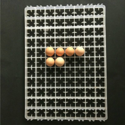 HatchPro 88 chicken egg tray for  egg incubator machine or Home made incubator