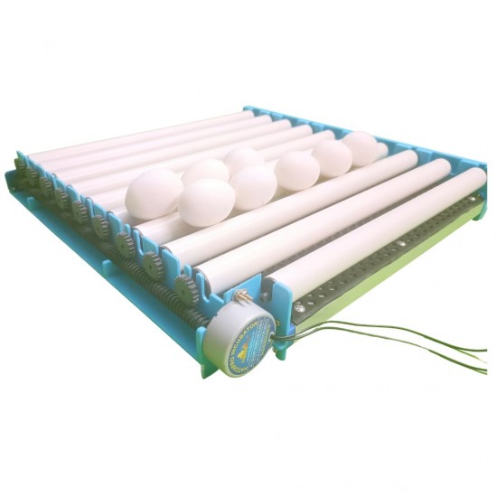 Hatchpro 56 eggs incubator for egg hatching , Automatic multipurpose egg turner tray and ABS Fibre Body (56 Eggs Capacity)