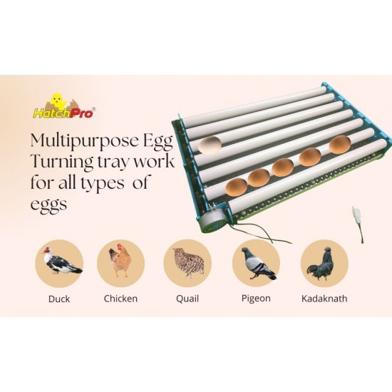 Hatchpro 70 egg turner tray automatic for egg incubator (multipurpose)