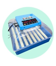 Egg Incubator