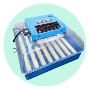 Egg Incubator