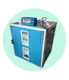 Industrial egg incubator