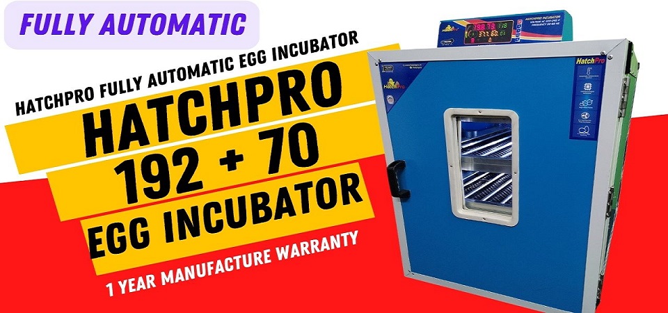 192 Fully Automatic Egg Incubator - price in India