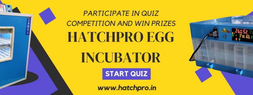 Hatchpro Egg incubator Quiz competition and Win Prizes