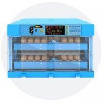 Egg Incubator