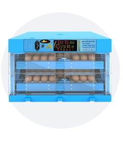 Egg Incubator