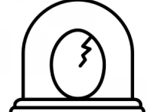 How to use an egg incubator?