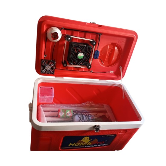 HatchPro 50 Egg Incubator with New Hatchpro Controller | Dual Humidity  Control | DIY Incubator | AC | DC THT20