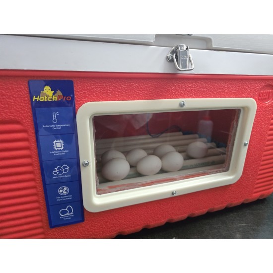 Hatchpro 50 egg incubator fully automatic with Humidity display  with THT20 Controller Automatic Egg Turning Tray in ABS Fibre body With Glass Window