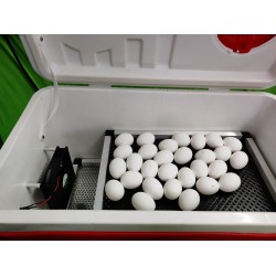 Hatchpro 100 egg incubator semi automatic with Humidity display , ABS Fibre body