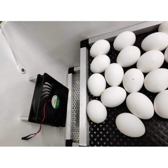 Hatchpro 110 egg incubator semi automatic + Extra Controller with Humidity display , ABS Fibre body