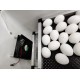 Hatchpro 100 egg incubator semi automatic with Humidity display , ABS Fibre body