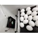 Hatchpro 110 egg incubator semi automatic with Humidity display , ABS Fibre body