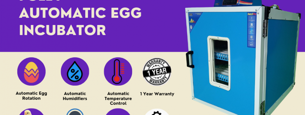 Automatic Egg Incubator Videos