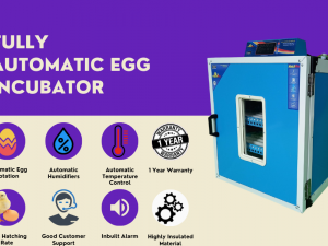 Automatic Egg Incubator Price List