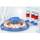 Hatchpro 18 egg incubator fully automatic | Small mini egg hatching machine 