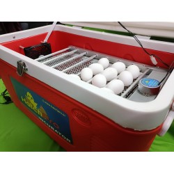 Hatchpro 75 egg incubator automatic with Humidity display , Automatic Egg Turning Tray in ABS Fibre body