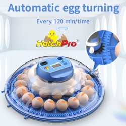 Hatchpro 8 egg incubator fully automatic | Small mini egg hatching machine 