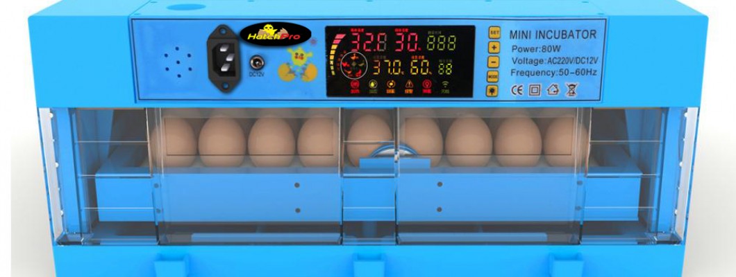 Features of Hatchpro Automatic chicken Egg Incubator